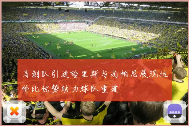 马刺队引进哈里斯与尚帕尼展现性价比优势助力球队重建