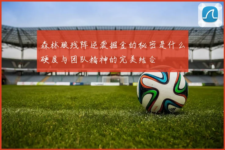 森林狼残阵逆袭掘金的秘密是什么硬度与团队精神的完美结合